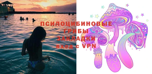 прущие крисы Алзамай