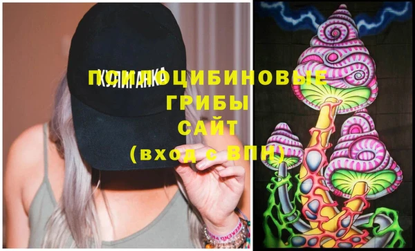 прущие крисы Алзамай