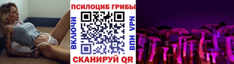 цена   Железногорск  Галлюциногенные грибы Psilocybine cubensis 
